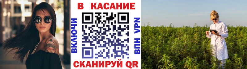 Купить закладку Лсд 25  MDMA  Гашиш  Канабис  Меф  КОКАИН  Курчатов