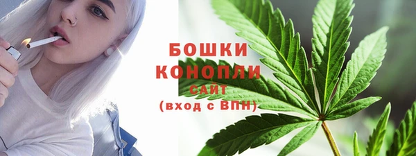 прущие грибы Навашино