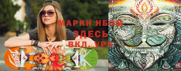 прущие грибы Навашино
