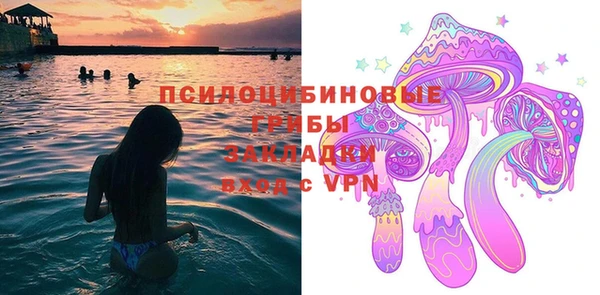 прущие грибы Навашино