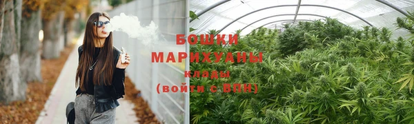 прущие грибы Навашино