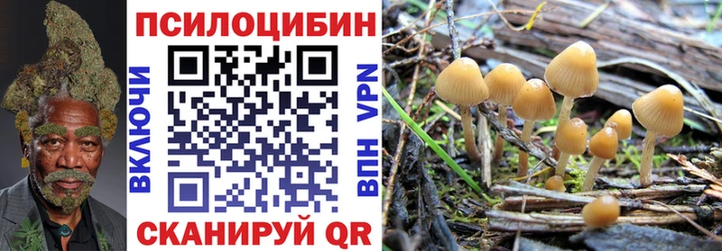 Псилоцибиновые грибы прущие грибы  Купить закладки  Курчатов 